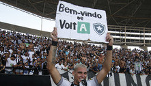 Botafogo renasce no fim e é o único grande a voltar à elite