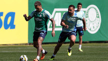Líder do Brasileirão, Palmeiras volta a treinar de olho na Libertadores