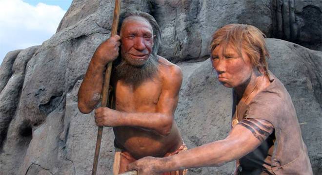 Neandertal - quem foi, como viveu e como desapareceu