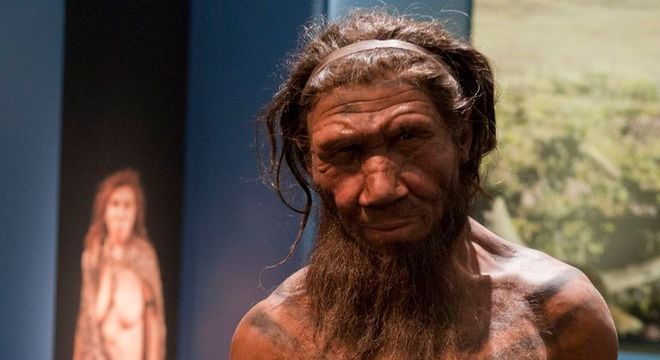 Neandertal - quem foi, como viveu e como desapareceu