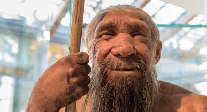 Neandertal - quem foi, como viveu e como desapareceu