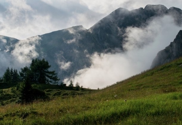 Gina Weiss e o amigo Tobi fizeram a descoberta assustadora durante uma caminhada pelas montanhas Harz, na Alemanha, no dia 22