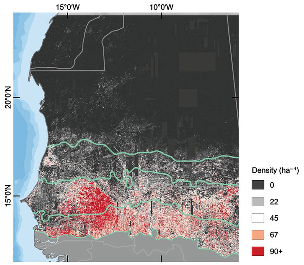 Neste mapa, é possível ver o número de árvores por hectare na área estudada