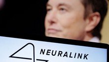 Parlamentares dos EUA investigam como Neuralink, de Musk, supervisiona testes com animais