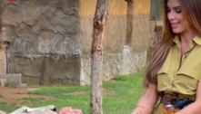 Em Dubai, Nicole Bahls alimenta leoa ao visitar casa de sheik