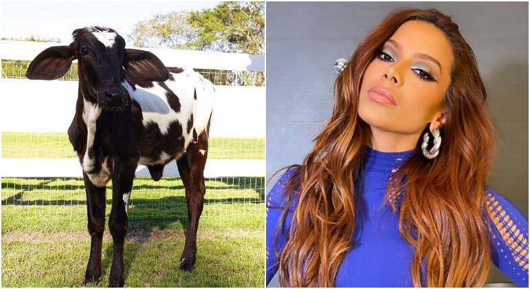 Outra vaca da casa de Nicole é a Anitta, que já apareceu no Instagram dando uma cabeçada na modelo. 