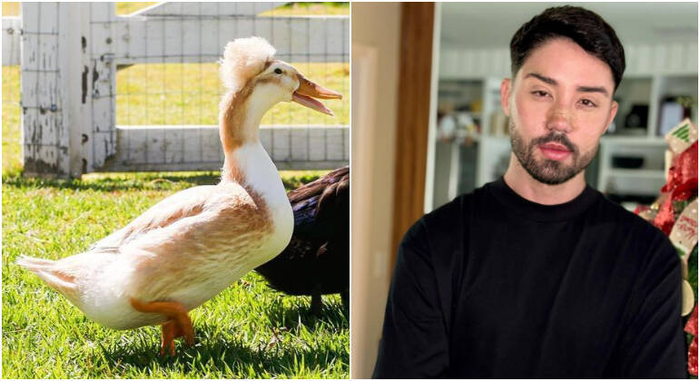Rico Melquiades, campeão de A Fazenda 13, também tem um xará pato no sítio de Nicole