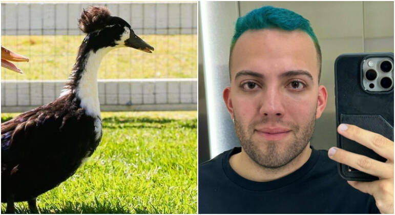 Um dos patos do sítio foi batizado com o nome de Lucas Rangel, conforme revelado em um vídeo divertido do influenciador. 