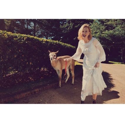 Nicole Kidman: A consagrada atriz norte-americana é dona de algumas alpacas. Ela adora compartilhar fotos dos bichinhos no seu Instagram. 