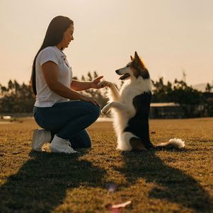 Isabela atua com treinamento de cães