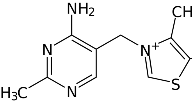 Nitrocompostos, o que são? Definição, propriedades e nomenclatura