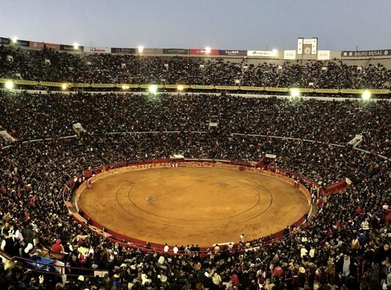 No dia 30/01, o Tribunal Federal da Cidade do México decidiu por uma nova suspensão das touradas que acontecem na Câmara Municipal de Benito Juárez.