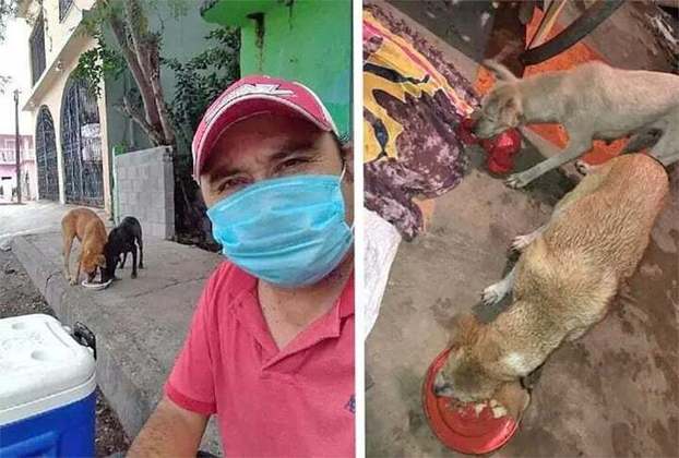 No início deste mês, o mexicano Jorge Jaime ganhou milhares de seguidores no Twitter ao contar que foi mordido por uma cadela de rua mas 