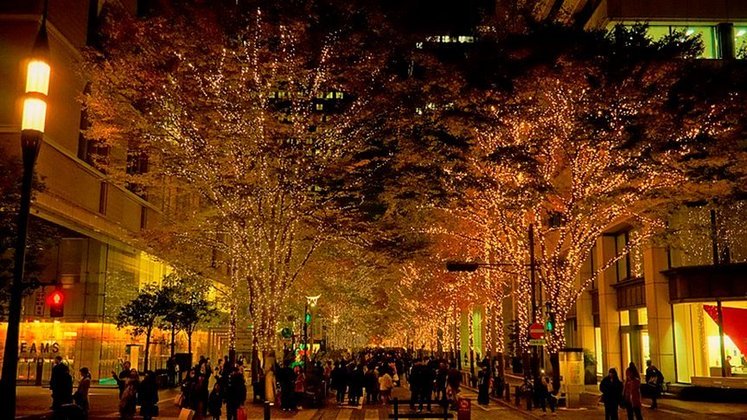 No Marunouchi, a iluminação especial é mantida por um período mais longo. Começa antes do Natal, em novembro, e vai até fevereiro, com um milhão de lâmpadas LED se espalhando num trecho de 500 metros do Naka Dori, entre a estação de Tóquio e o Hotel Península. 
