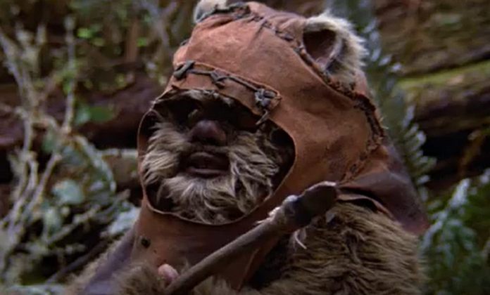 Nome do personagem: Wicket - Filme: O Retorno de Jedi (1983) - Guerreiro Ewok que ajuda a salvar a princesa Leia na Lua de Endor. Teve participação essencial na destruição da Segunda Estrela da Morte.