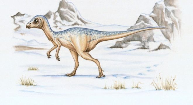 Nomes dos dinossauros - Como foi criado cada um deles?