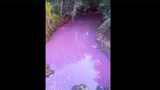 Água que abastece Chapecó fica rosa e prefeitura investiga