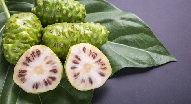 Noni – benefícios e efeitos colaterais da fruta proibida no Brasil