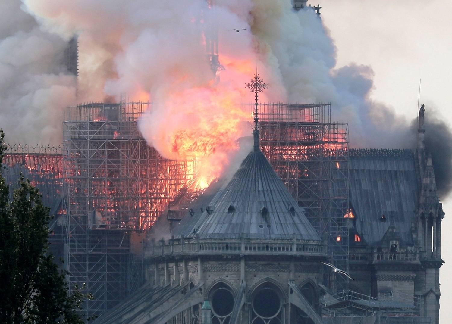 Resultado de imagem para notre dame