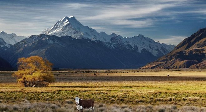 A Nova Zelândia está entre os principais emissores de carbono per capita principalmente devido a suas emissões de metano devido à grande indústria de gado e ovelha