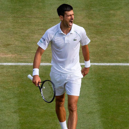 Novak Djokovic: o tenista sérvio fala, além de sua língua-mãe, outros quatro idiomas:  alemão, inglês, francês e italiano. 