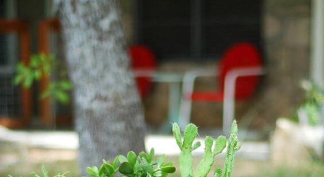 Número de casa no jardim