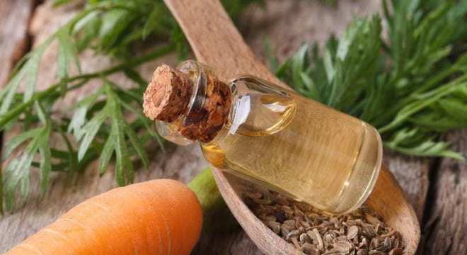Nutrição Capilar- como deixar os seus cabelos nutridos e saudáveis?