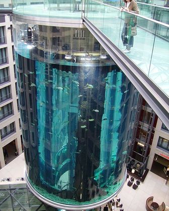 O aquário tinha 14 metros de altura e fazia parte do Guinness Book (o Livro dos Recordes). 