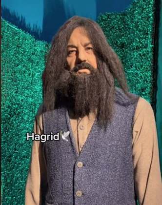 O ator Robbie Coltrane, que morreu em 2022, até gostaria de ver essa versão do seu popular personagem Hagrid, da saga de Harry Potter. Afinal, tá mais em forma... Mas não lembra nada, né? 