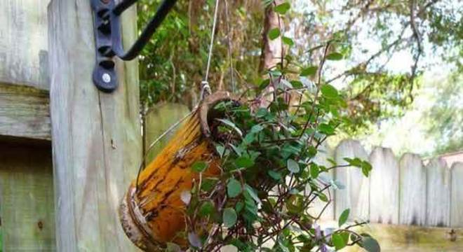 O bambu serviu de matéria-prima para a criação desse lindo suporte de plantas