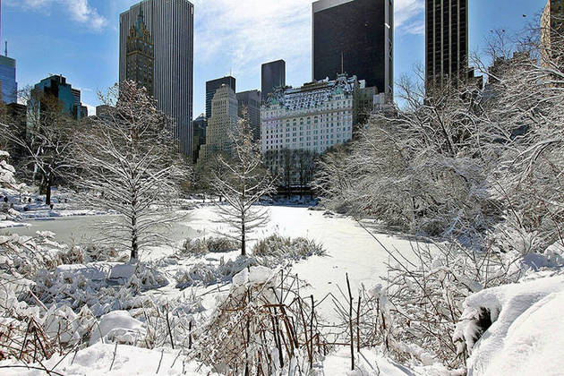 O Central Park, um dos mais famosos pontos turísticos de Nova York, ficou tomado pela neve. 