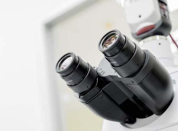 O comprador do item inusitado ainda vai levar junto um microscópio com visor digital para conseguir enxergar o objeto…