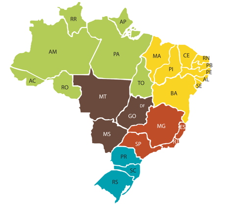O concurso envolve 27 participantes pré-selecionadas, cada uma representando um estado brasileiro, para ter representatividade nacional.