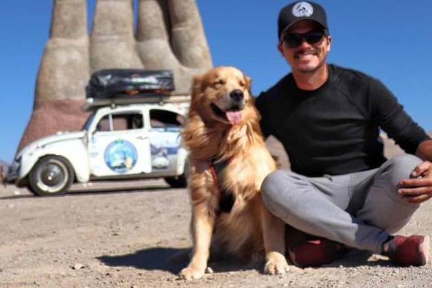 O famoso cão Shurastey, que morreu num acidente no EUA ao lado de seu dono, o influencer Jesse Koz, era um legítimo Golden Retriever, uma das melhores raças de cão de caça do planeta. 