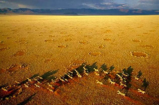 O fenômeno consiste em pequenos discos de solo seco, que têm uma aparência de fileiras de bolinhas que se estendem por longas distâncias no chão.