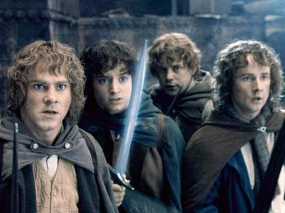 O filme narra a procura do Senhor do Escuro Sauron por um anel, que está com o hobbit Frodo Bolseiro (Elijah Wood). O destino da Terra-Média está em risco e depende de Frodo e mais oito companheiros, que formam a Sociedade do Anel.