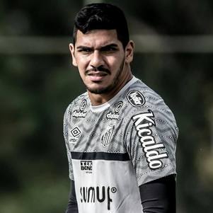 Novos reforços do Santos aparecem na Seleção do Campeonato Paulista –  Santistas