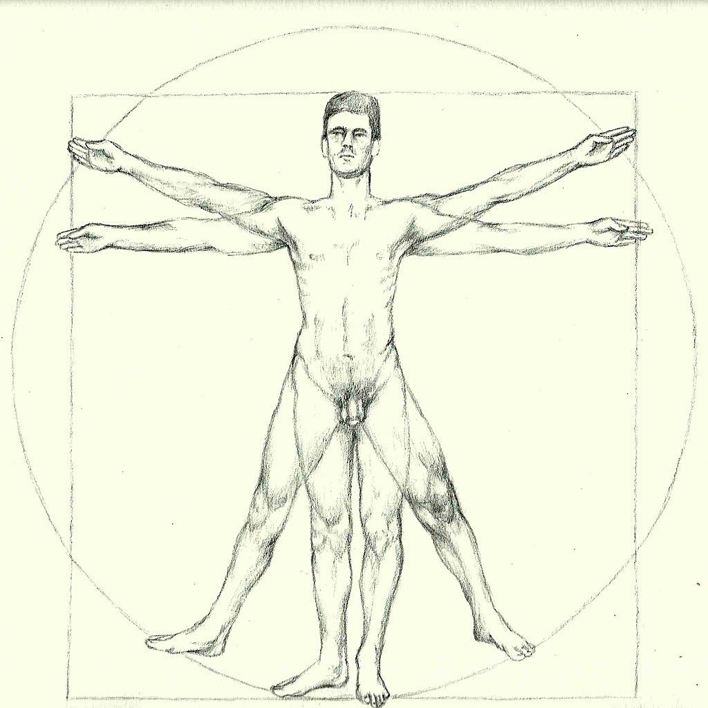 O corpo humano ideal de Leonardo da Vinci e as proporções obtidas com as medidas contemporâneas froam semelhantes