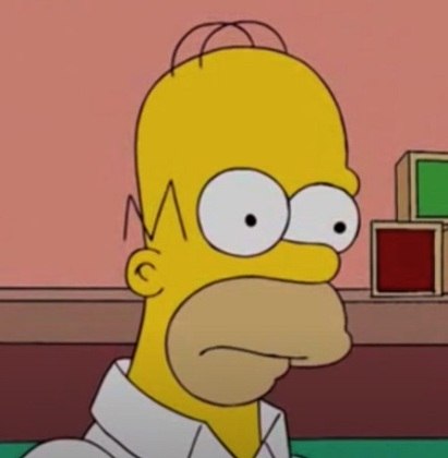 O icônico Homer é uma crítica ao pai de família americano. Geralmente se mete em alguma enrascada graças à sua irresponsabilidade ou mentalidade infantil, além de preguiçoso. Mesmo com uma relação difícil com seus filhos, principalmente com Bart, eles são sua prioridade. 