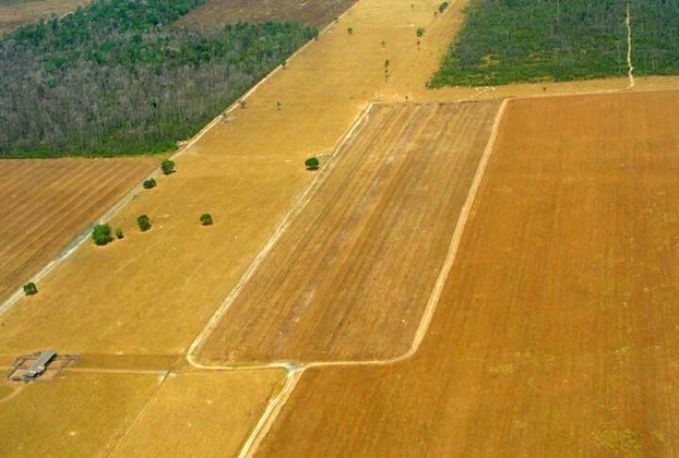 O levantamento constatou também que áreas desmatadas para pastagens cresceram 17 milhões de hectares nos últimos 38 anos, sendo 10% disso somente na última década.