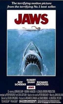 O medo de tubarão é tão presente no imaginário popular que um dos maiores clássicos do cinema de terror, assinado por Steven Spielberg, é 