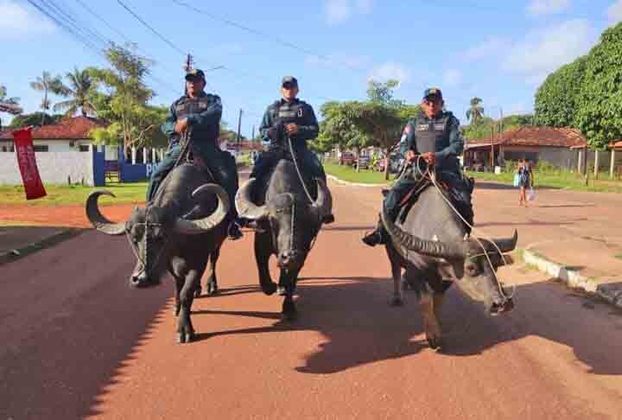 O município de Soure, considerado a capital do arquipélago do Marajó, conta com uma modalidade de policiamento diferenciada. A corporação se utiliza do búfalo, que simboliza o local de maior rebanho do Brasil, que contribui para coibir a criminalidade e virou atração turística.