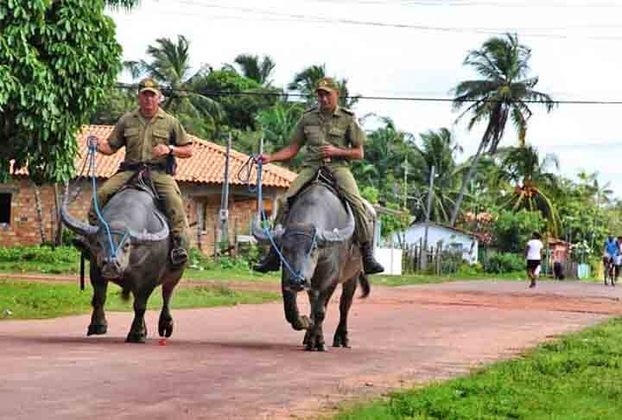 O município de Soure possui cerca de 25 mil habitantes, enquanto o efetivo do 8º BPM atua com aproximadamente 200 policiais militares. Além de viaturas e motocicletas, a unidade militar conta com o apoio de búfalos.