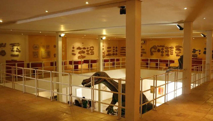 O museu, fundado em 1985, tem 7 mil itens, incluindo vegetais e animais petrificados. E mantém uma videoteca com material audiovisual que auxilia na pesquisa. 