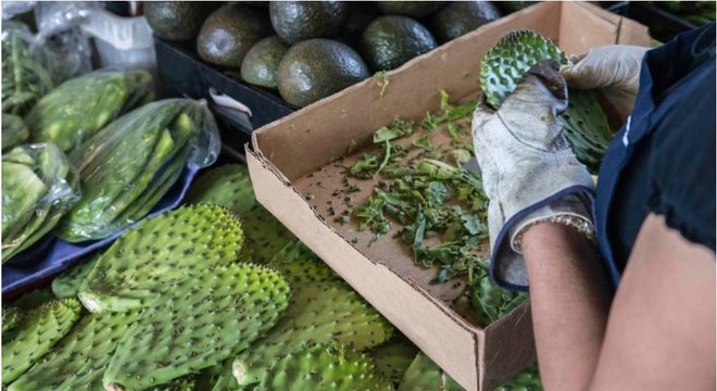 Parte não comestível da planta costuma ser descartada