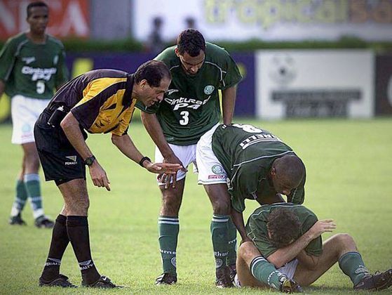O Palmeiras foi rebaixado em 2002, ao terminar o torneio na 24ª posição, com 27 pontos. O time era: Sérgio; Arce, Alexandre, César e Rubens Cardoso; Paulo Assunção, Flávio, Juninho e Zinho; Muñoz e Itamar. Técnico: Levir Culpi.