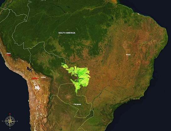 O Pantanal abrange o oeste do Mato Grosso do Sul, onde fica a área mostrada nessa galeria, o sudoeste do Mato Grosso e parte do Paraguai e da Bolívia. 