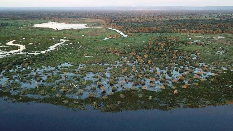 O Pantanal Matogrossensse é considerado a maior planície de inundação do planeta. Um área valiosíssima para o equilíbrio ambiental. 