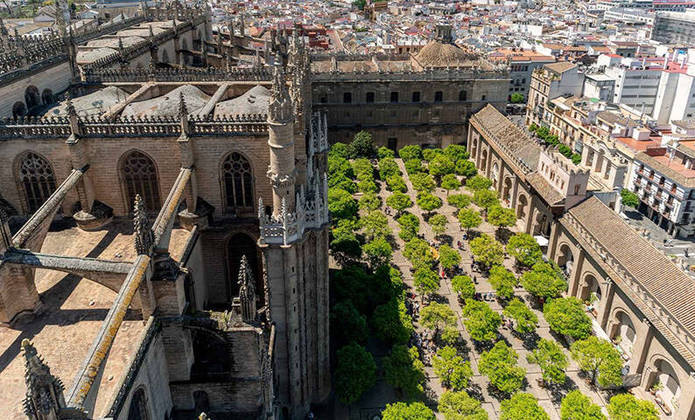 O Patio de los Naranjos, na Espanha, se encontra em frente à sala de oração da catedral da Sevilha, chamada ‘Puerta de la Concepción’ (Porta da Concepção em espanhol). É um local histórico, pois é fruto da herança muçulmana no país 