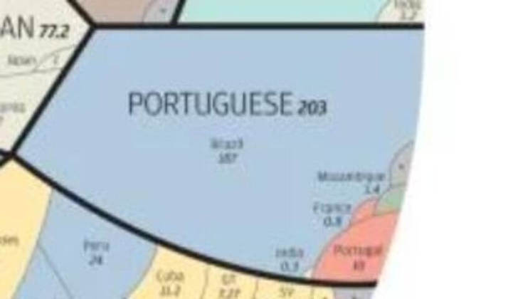 O português, com 203 milhões de nativos, é o quarto maior idioma do mundo. Além do Brasil e Portugal, a língua é falada em 6 países africanos e 1 asiático.